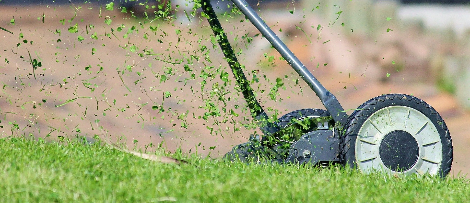 Los Vooruitzicht Vrijwillig Grasmaaien: Hoe kort moet gras gemaaid worden en wanneer maaien?